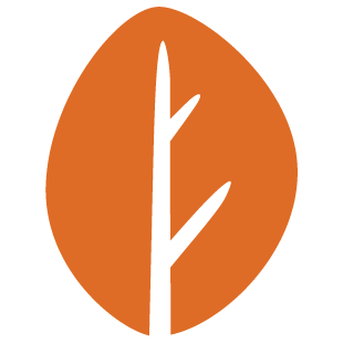 gamepalsconnect.com favicon